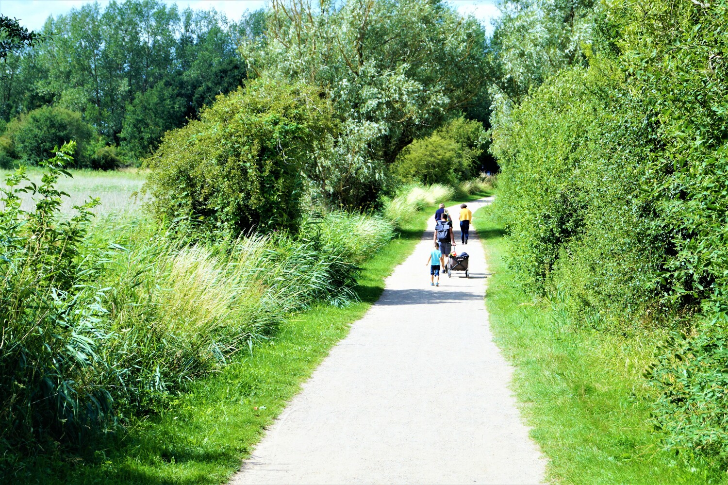 Weg zum Strand_final .jpg