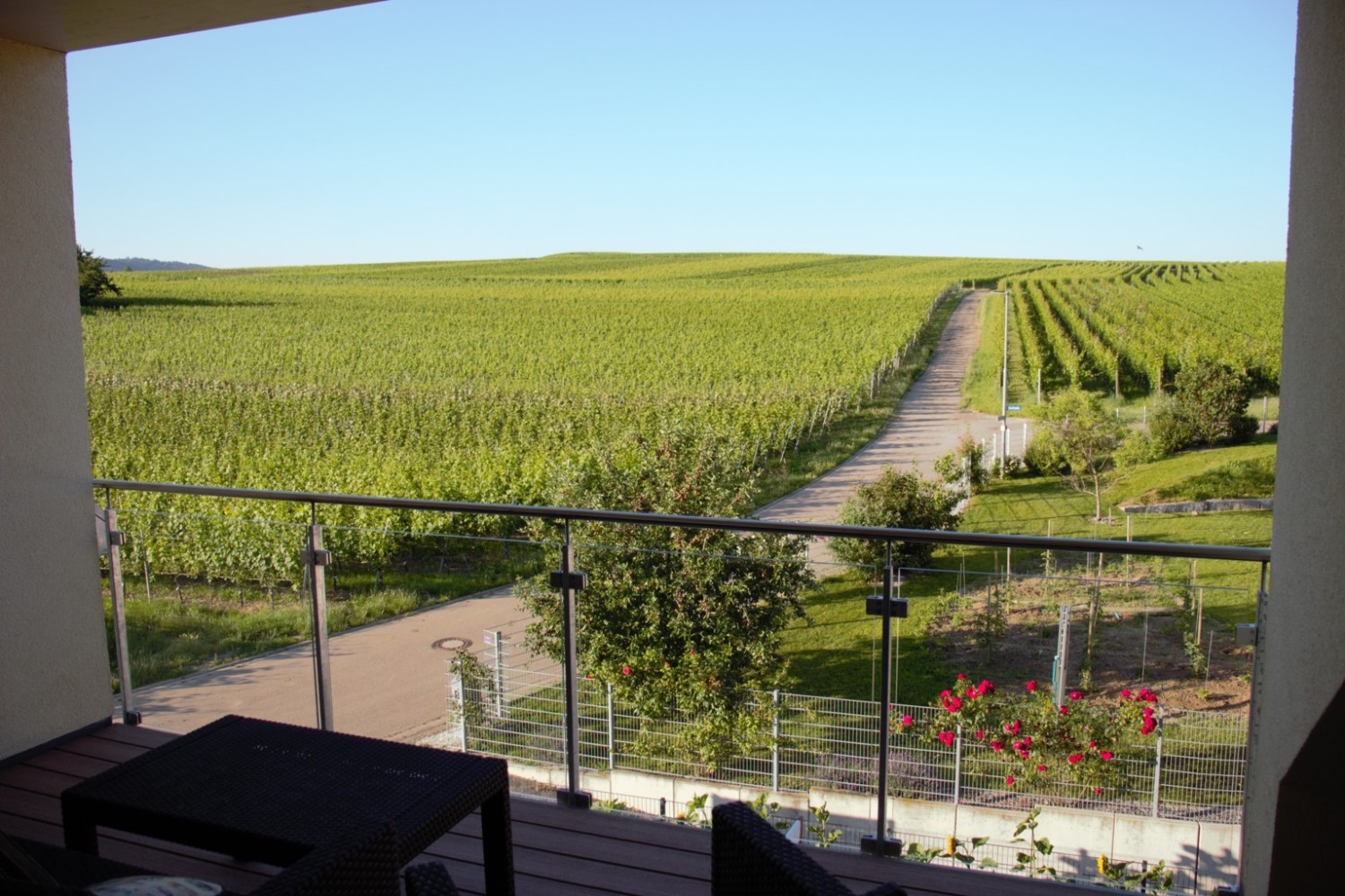 1111IMG_0848 (14) minimized.jpg