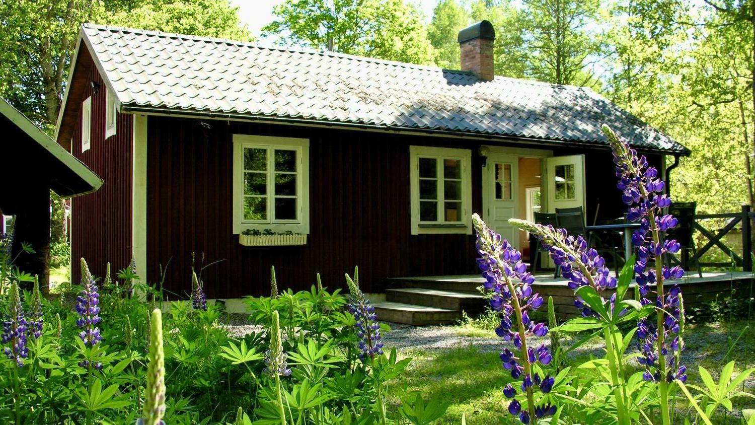 Skogstuga16 - 1 von 13.jpeg