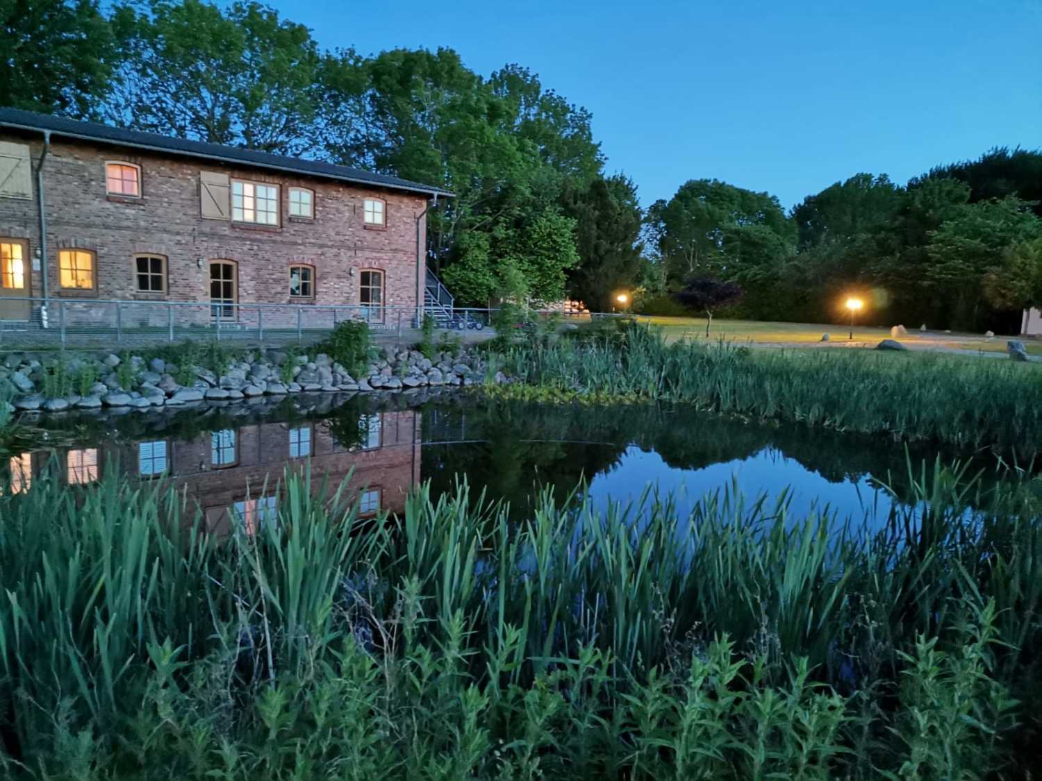 WhatsApp Image 2020-11-02 at 17.23.54.jpeg