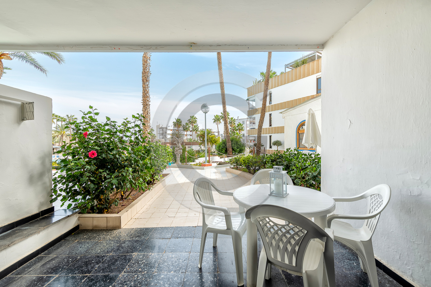 Aptos Koka (23) copia.jpg