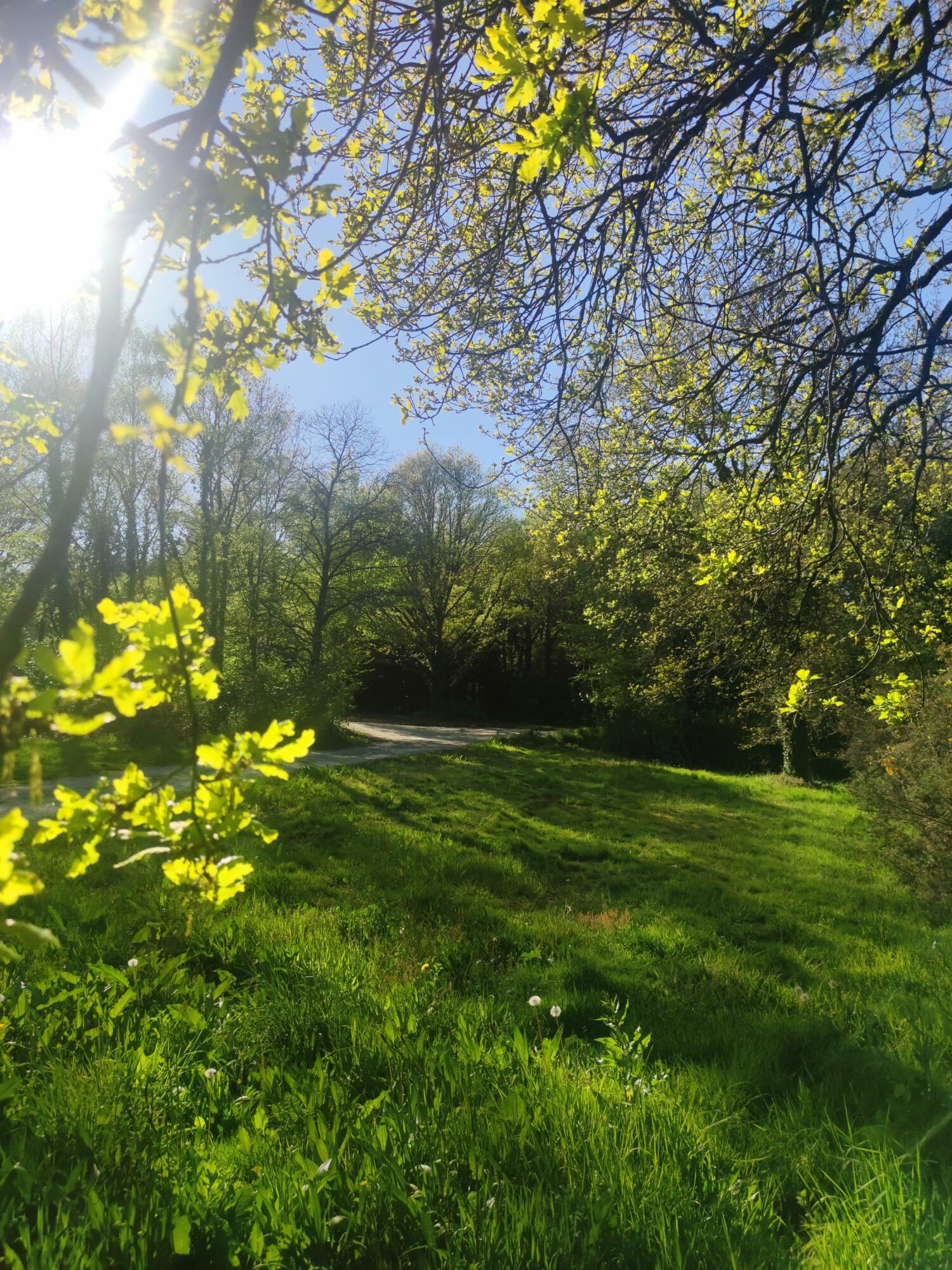 MicrosoftTeams-image (82).jpg