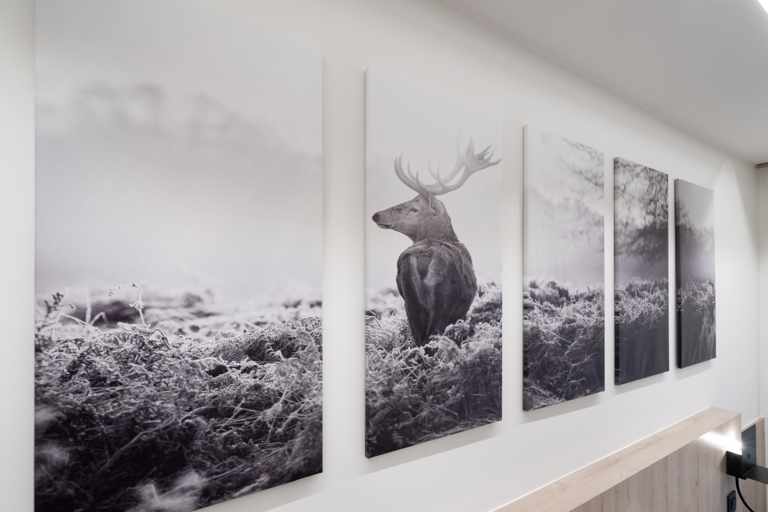 Bridge into the Nature Web-02994.jpg