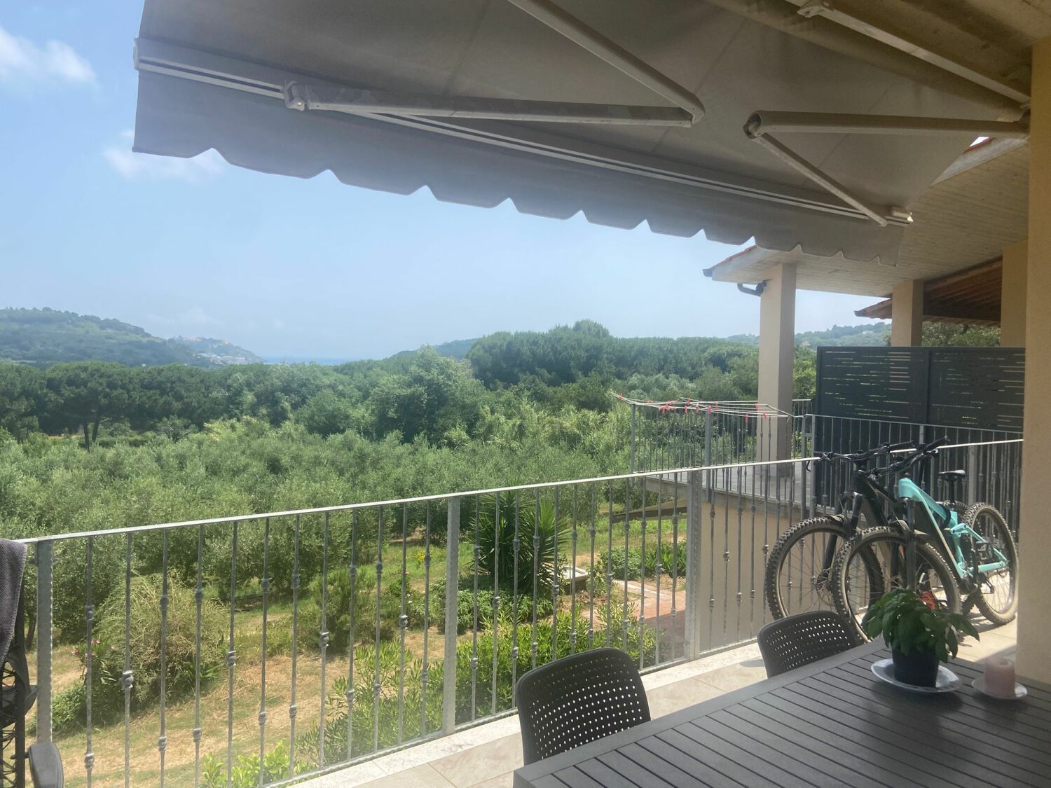 WhatsApp Image 2025-06-08 at 09.52.26.jpeg