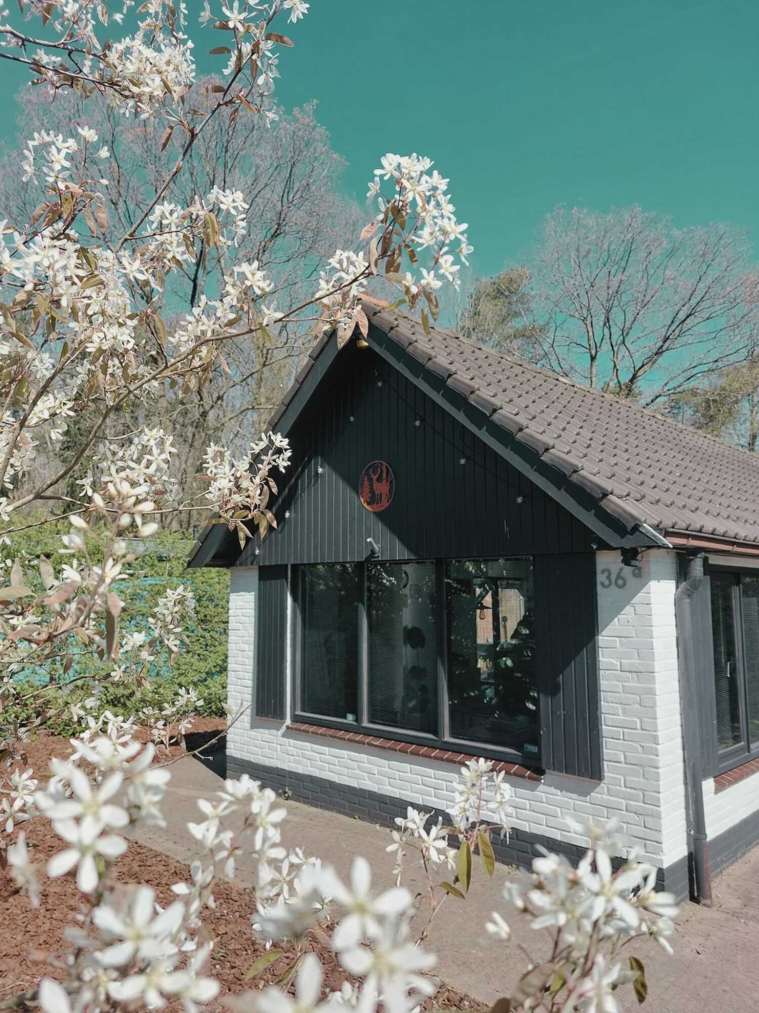 WhatsApp Image 2025-04-10 at 20.29.03 (3).jpeg