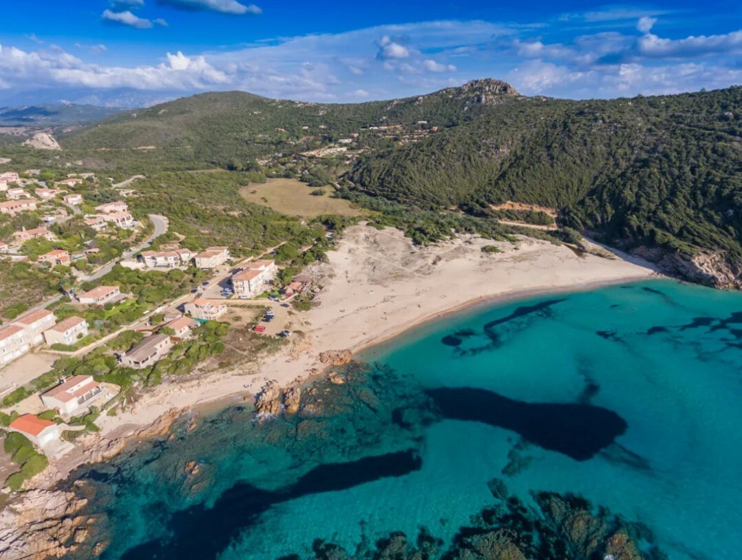 Immagine 2023-10-09 112447.jpg