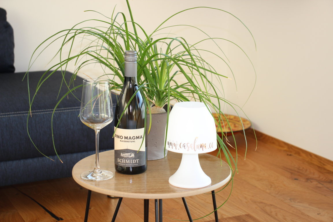 IMG_9130 (FILEminimizer).JPG