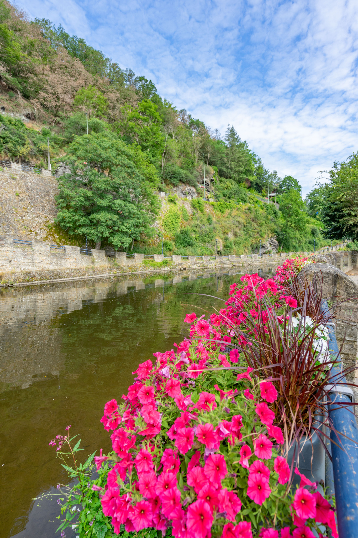 Li Rotch web-05746.jpg