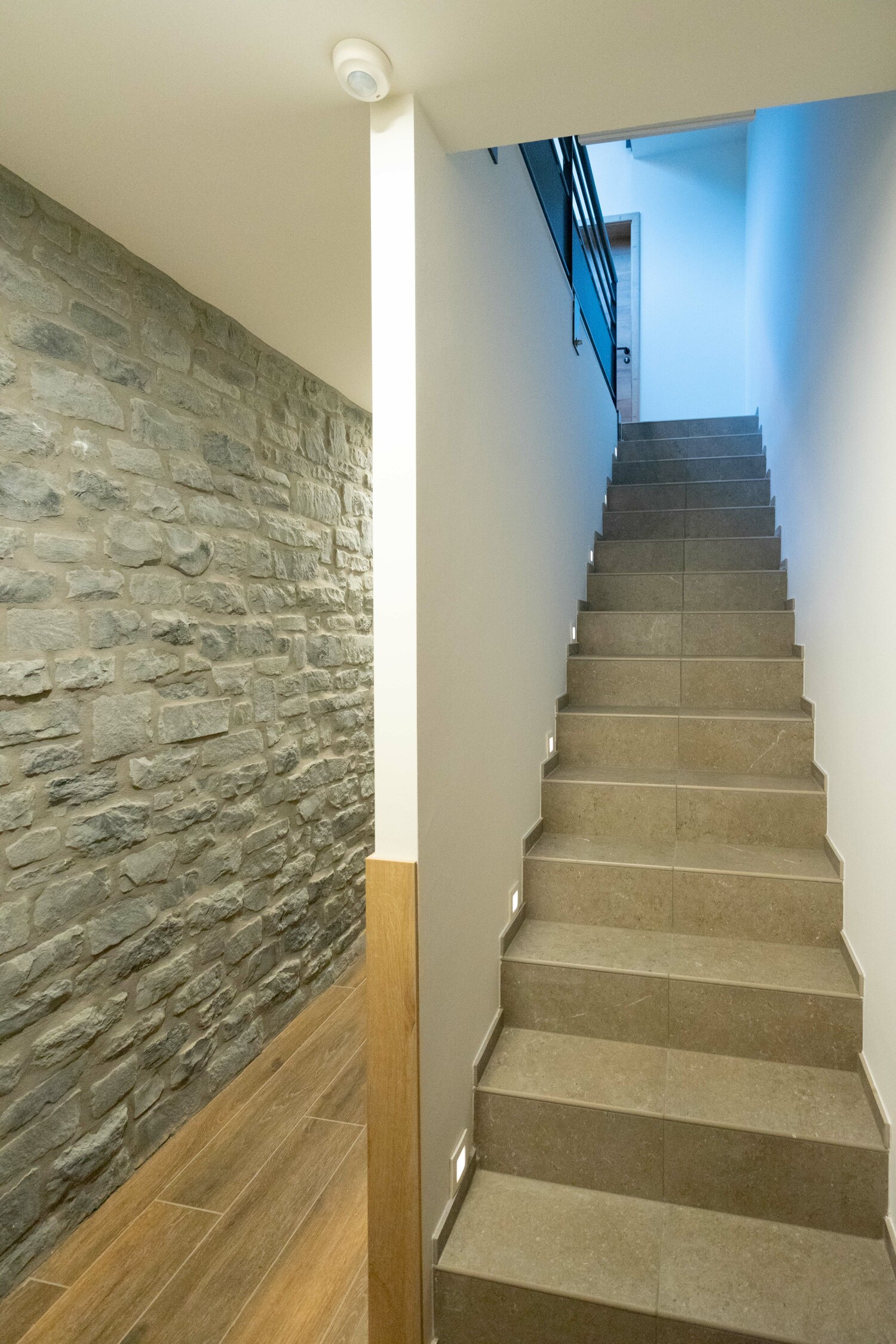 Bridge into the Nature Web-02888.jpg