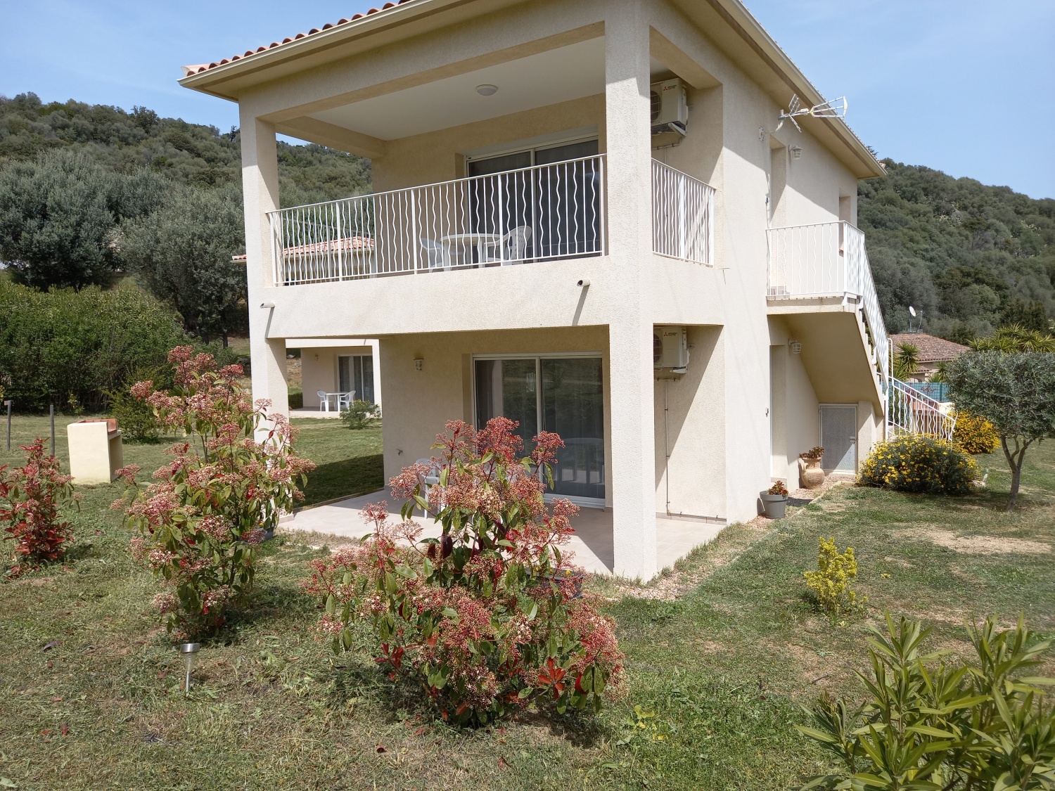 u sole e u pampasgiolu 2.jpg