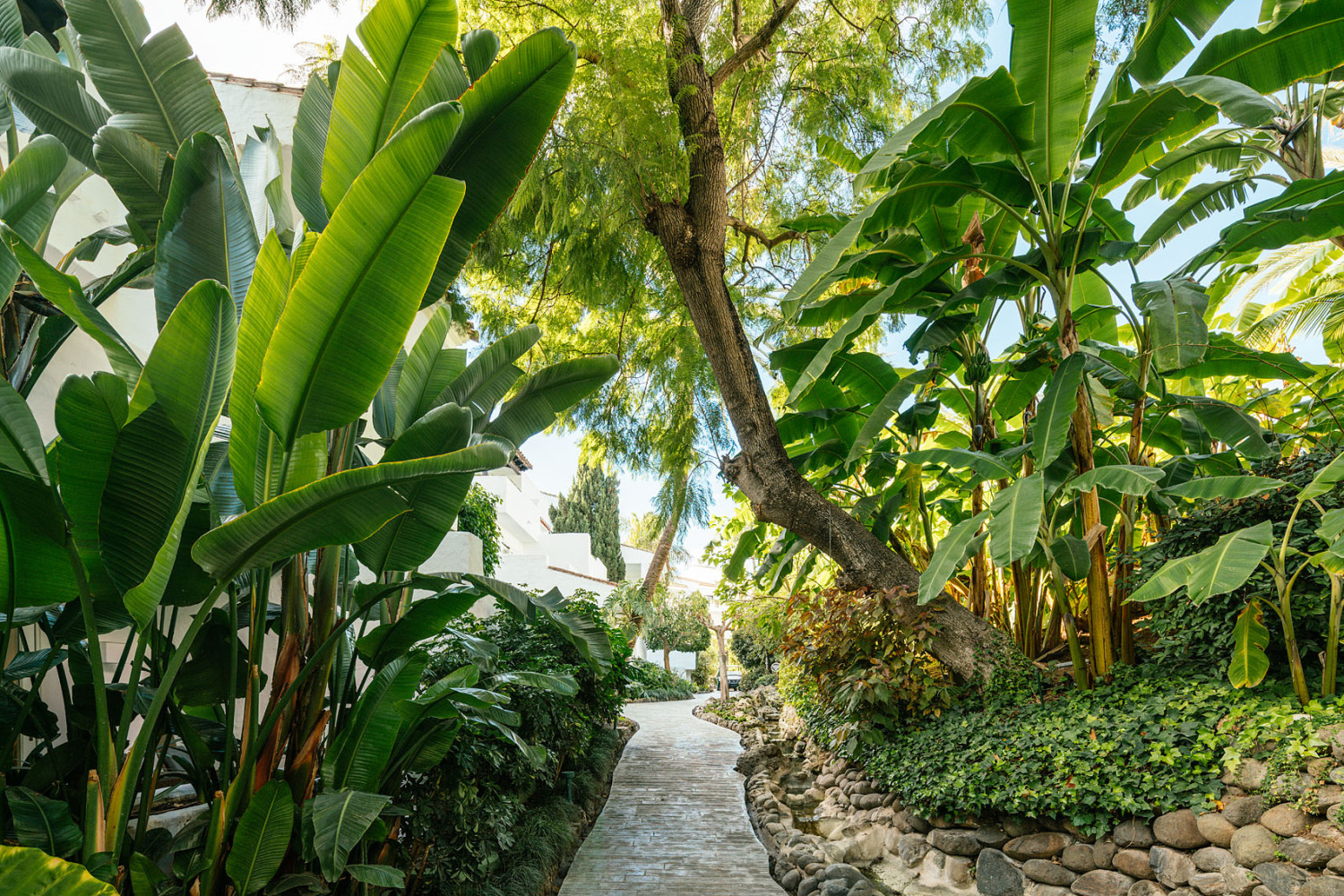 171213 Timepark Puente Romano Marbella exteriores 006 - copia.jpg