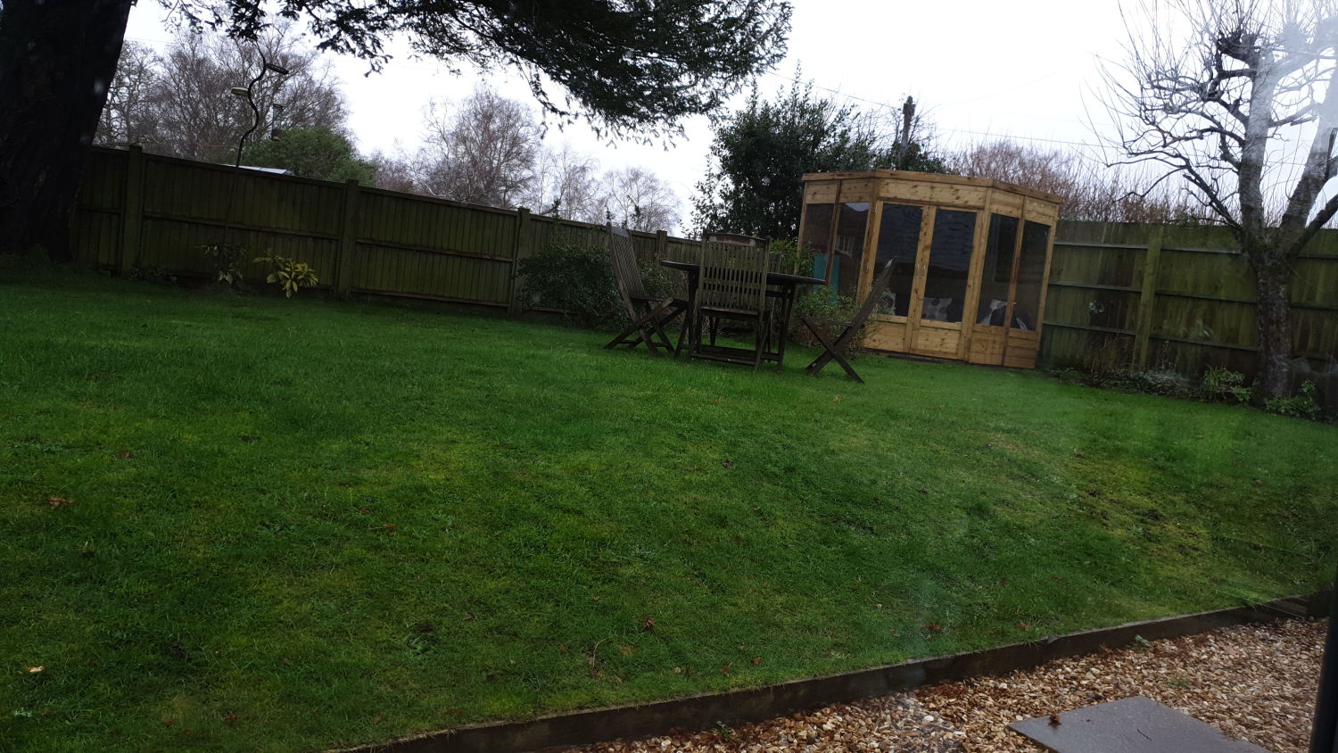 Forest Garden 4.jpeg