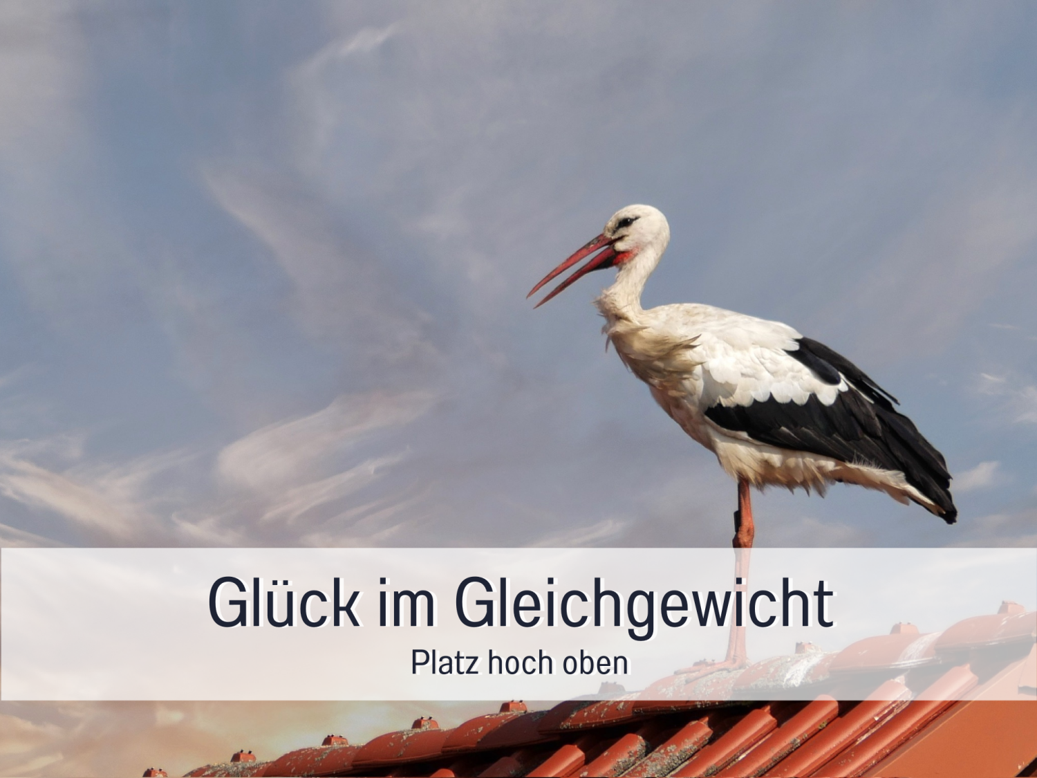 Vorlage für _beschriftet (41).png