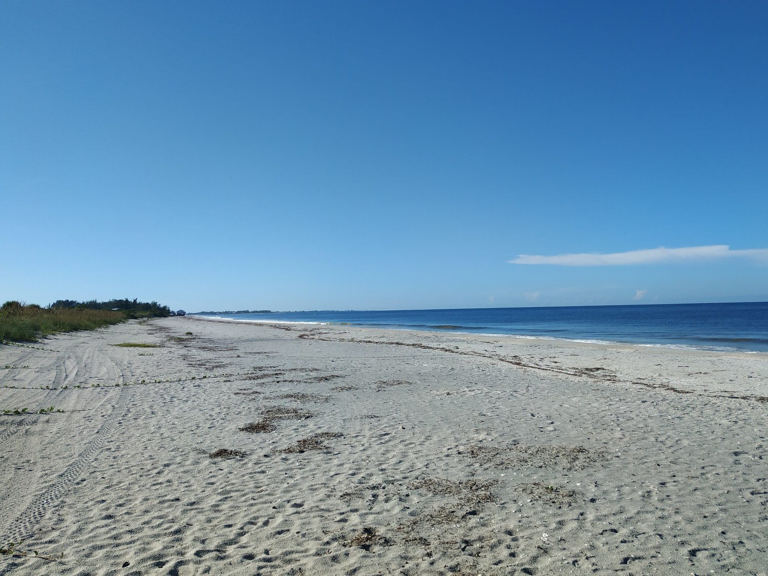 2019-08-22 09.24.54.jpg