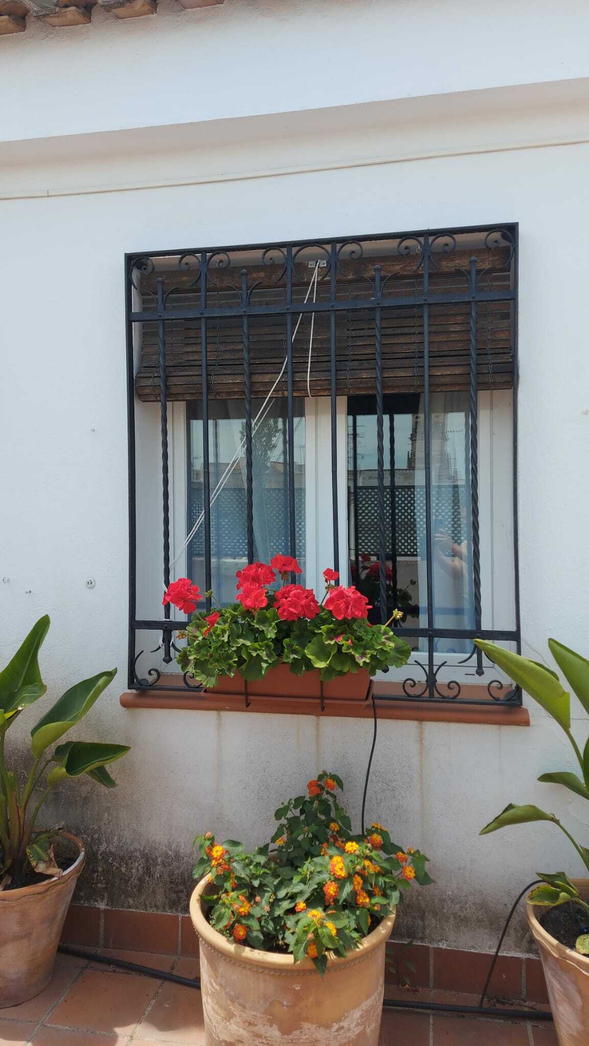 WhatsApp Image 2021-05-16 at 17.42.35 (1).jpeg