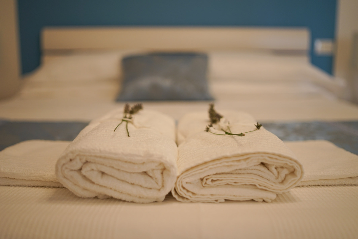 notturna 2019-1-12.jpg