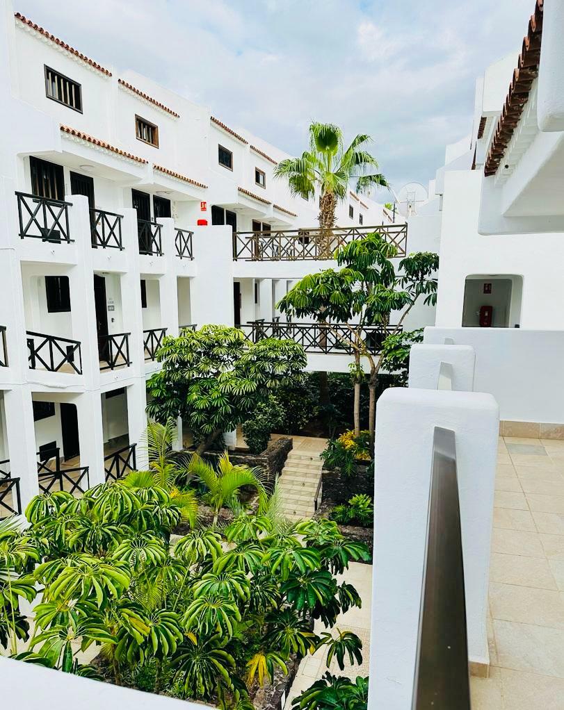 WhatsApp Image 2024-02-10 at 11.33.07.jpeg