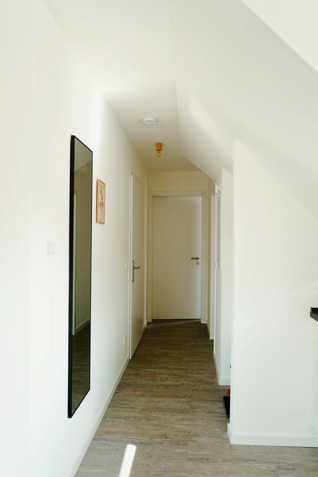 WhatsApp Bild 2025-03-10 um 17.12.54_42a0a6fc.jpg