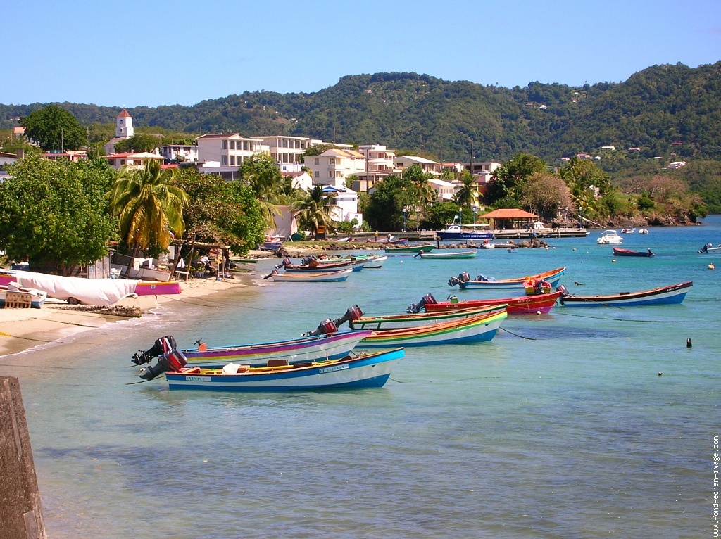 RDC Goyavier (34).jpg