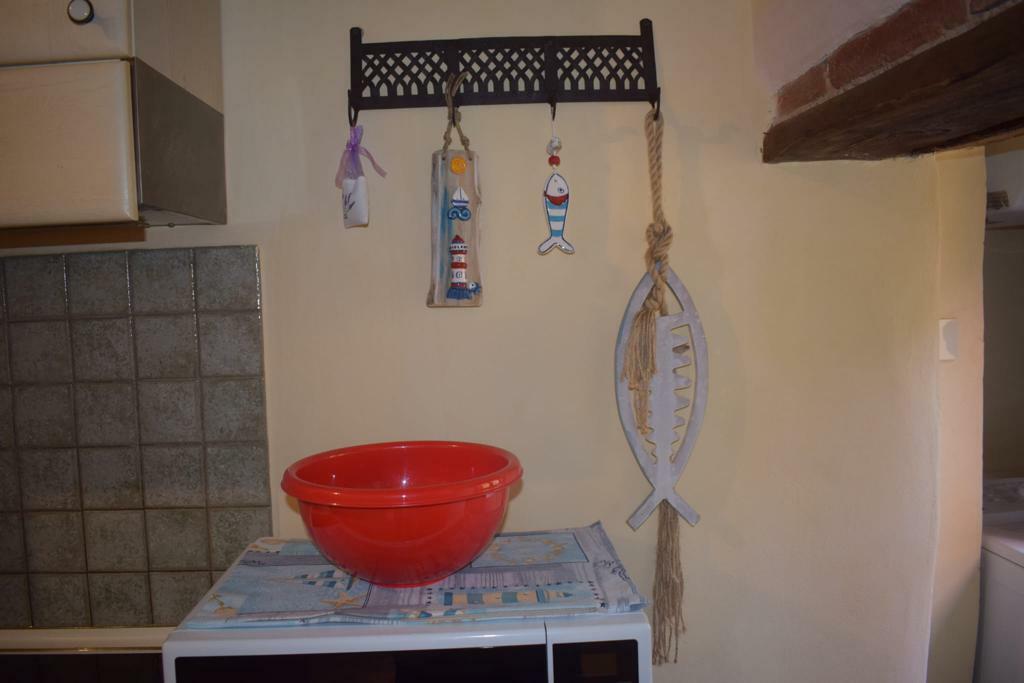 WhatsApp Image 2023-06-06 at 15.14.18.jpeg