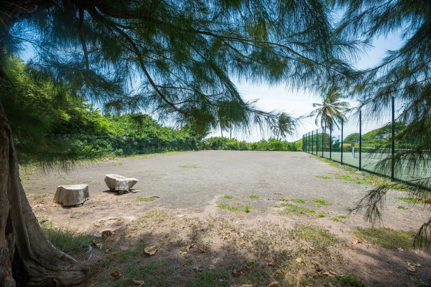 Studio Anse des Rochers 0424©JessicaLaguerre-8327.jpg