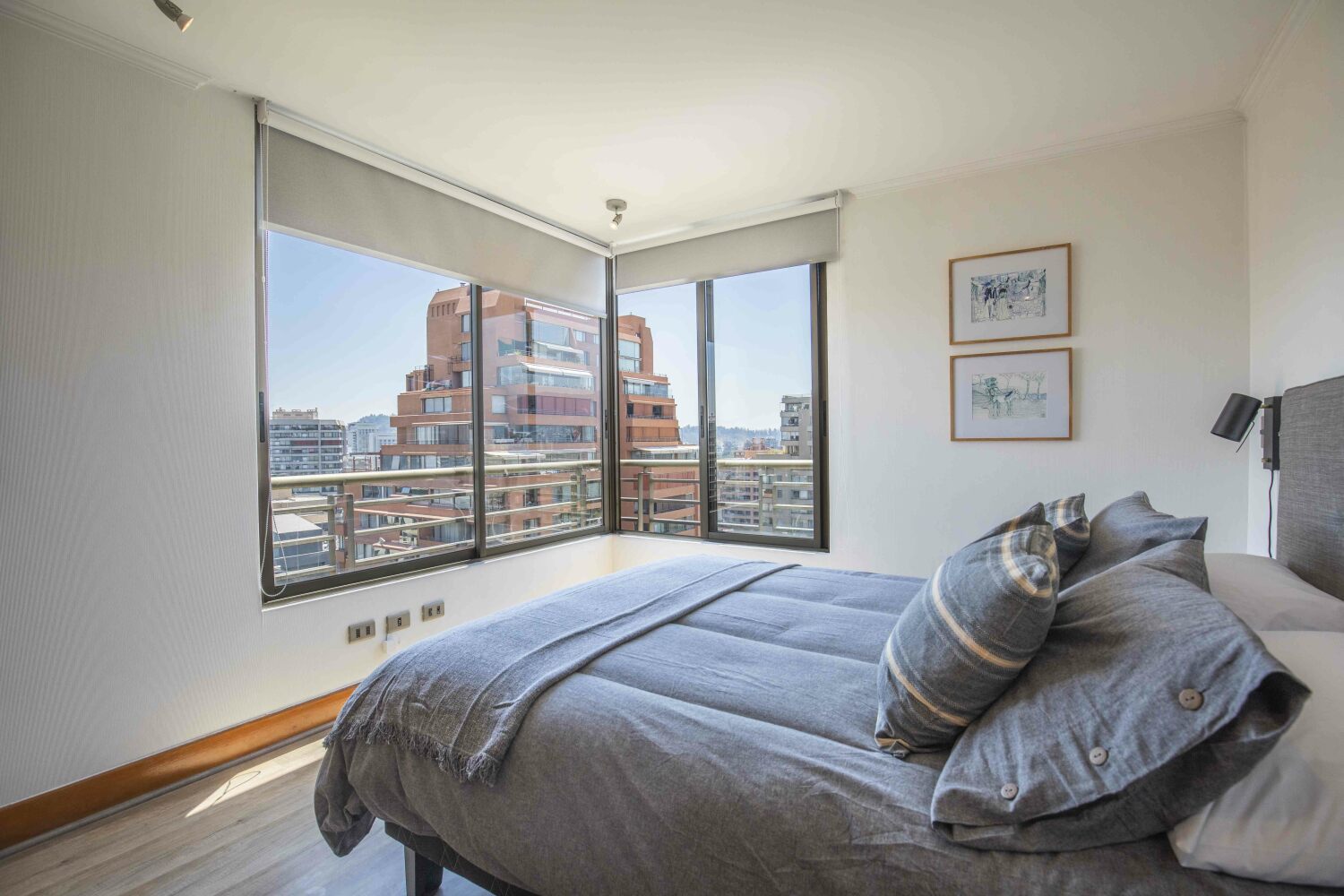 Pedro AVN 22 1810 (8).jpg