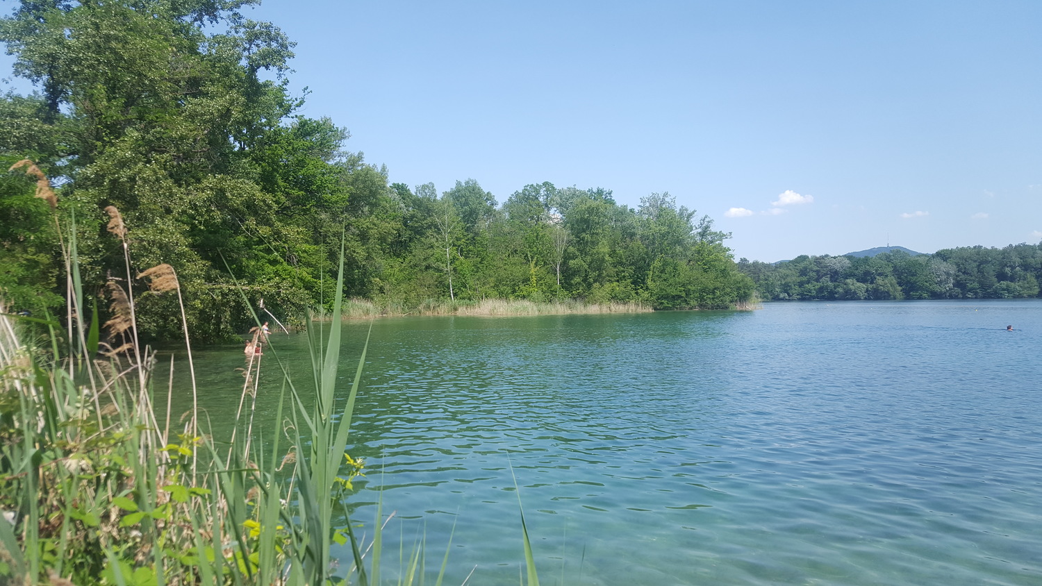 20190604_153237 (1).jpg