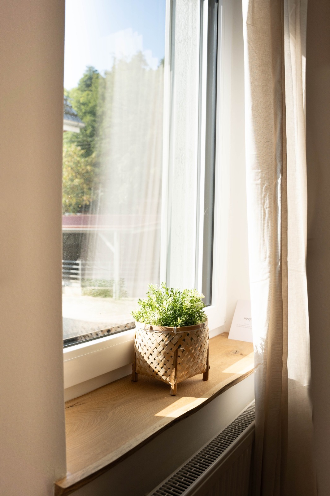 WhatsApp Bild 2023-09-29 um 14.35.15_d9b09a2f.jpg