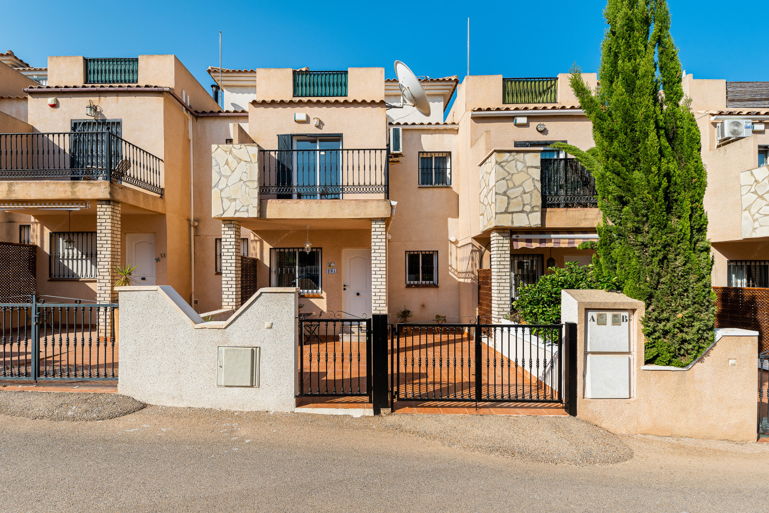 Royal Park Rose 89A (1).jpg