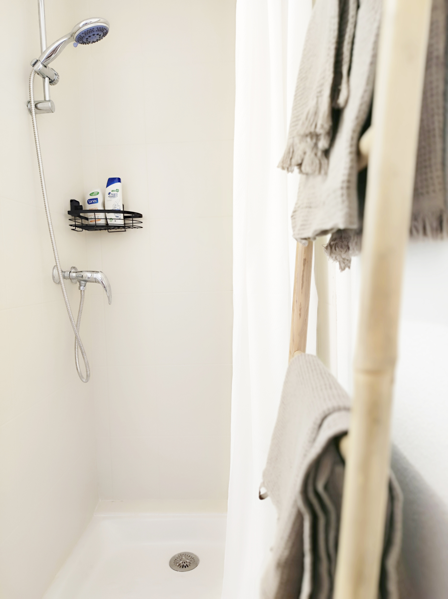 IMG_20240308_070735 copie.jpg