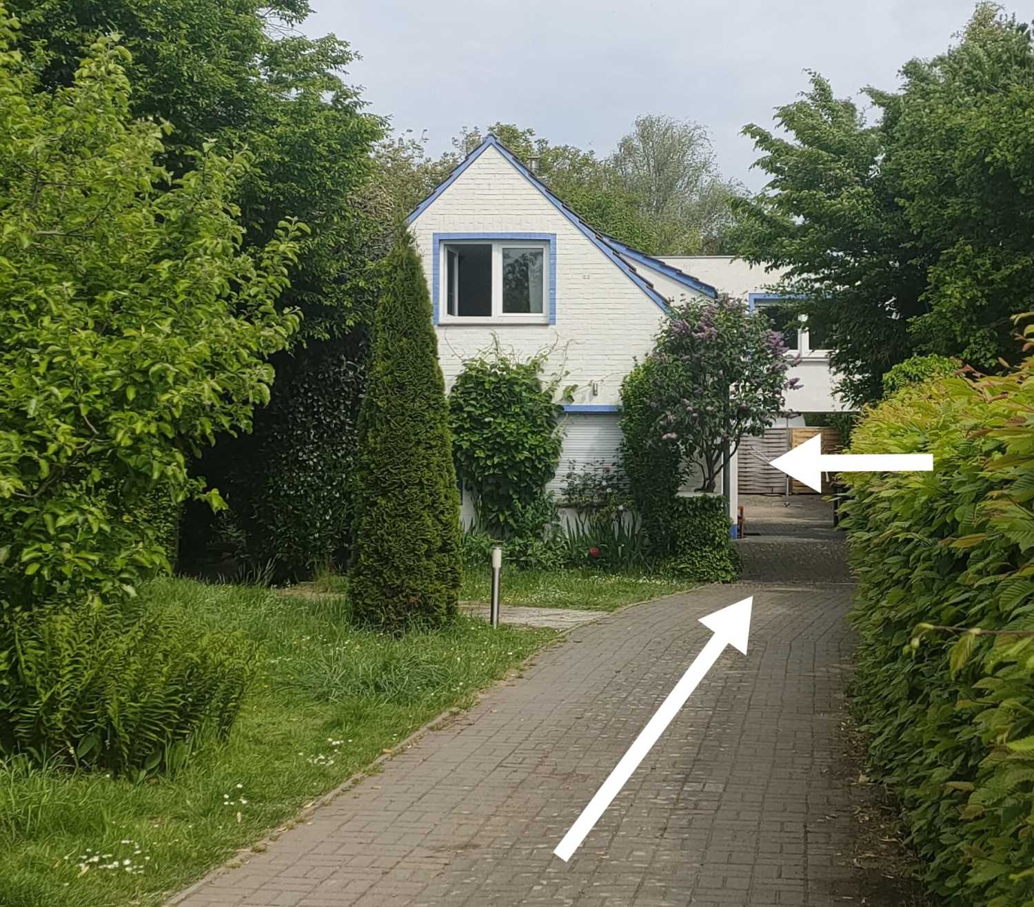 WhatsApp Image 2022-05-12 at 18.53.25.jpeg