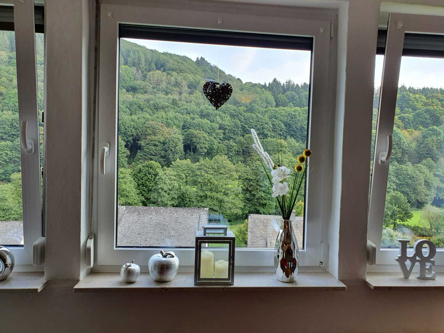 Blick aus Fenster.jpg