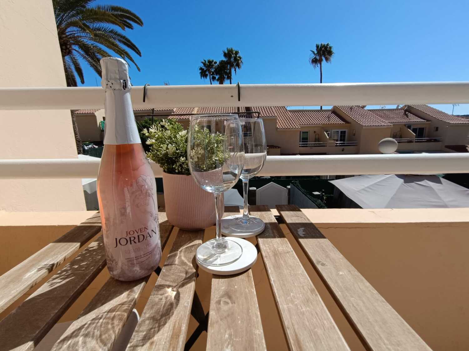 WhatsApp Image 2024-03-15 at 15.53.48.jpeg