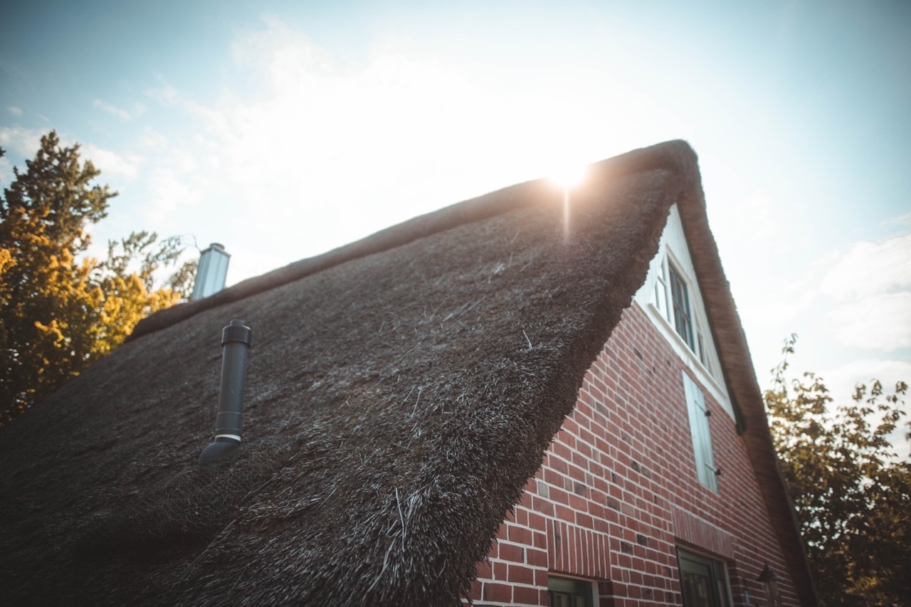 leonkl-2020-4230 Groß.jpeg