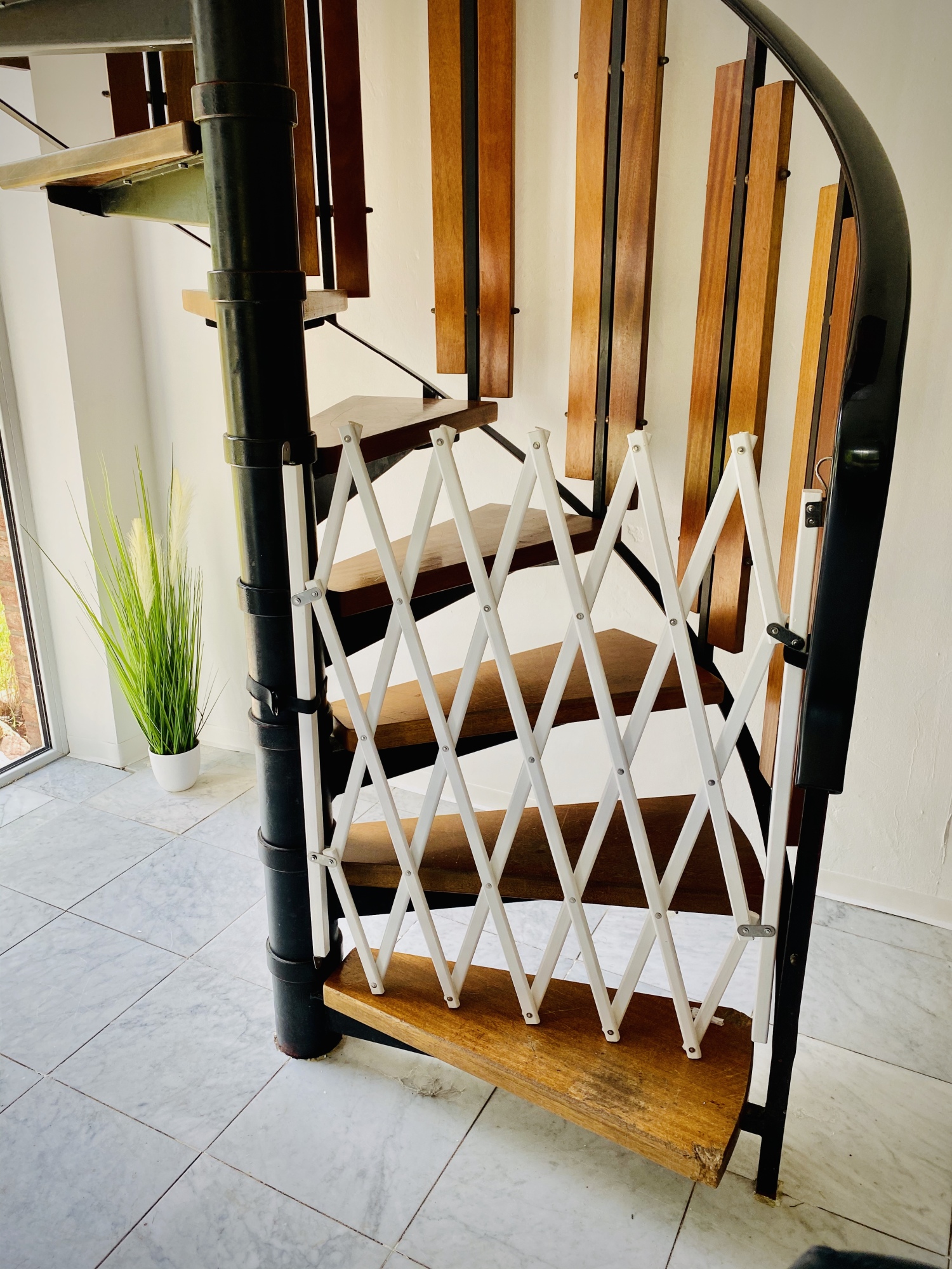 Foto 17.05.20, 11 13 05.jpg