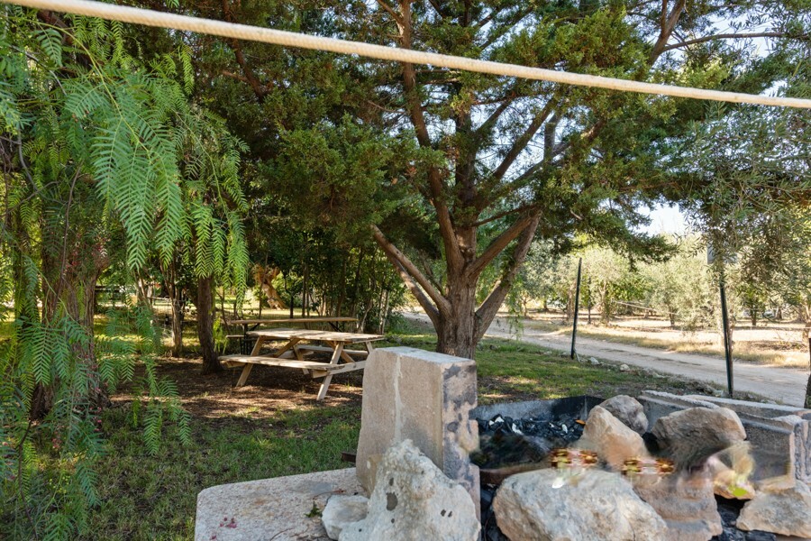 Contrada Zisola, 92, 96017 Noto SR, Italy_13.jpg