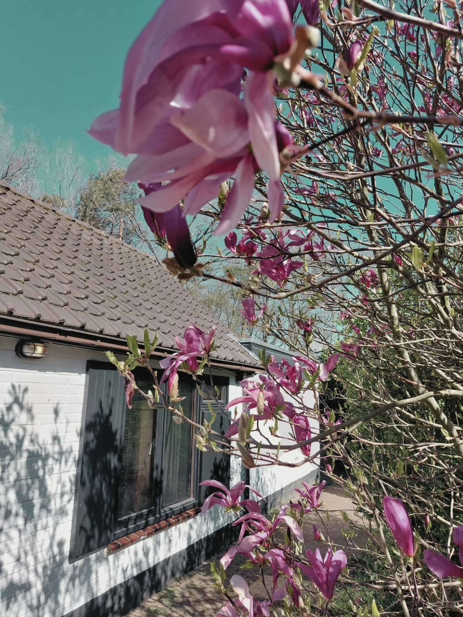 WhatsApp Image 2025-04-10 at 20.29.04 (1).jpeg