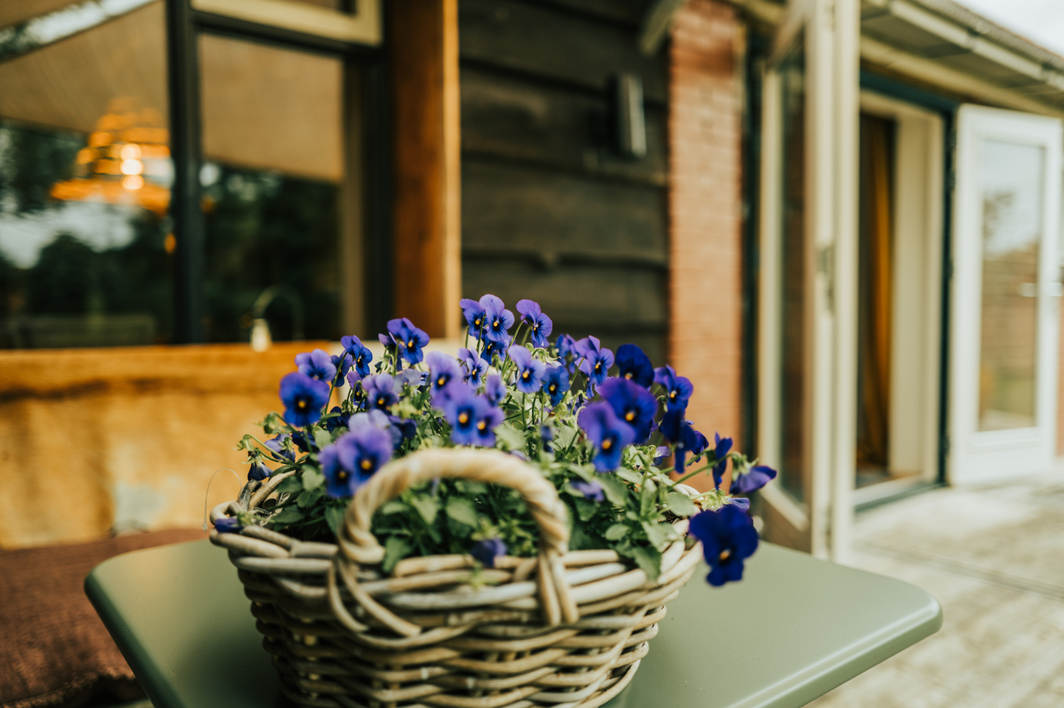 Thebrandwagon-12October 08, 2024171240.jpg