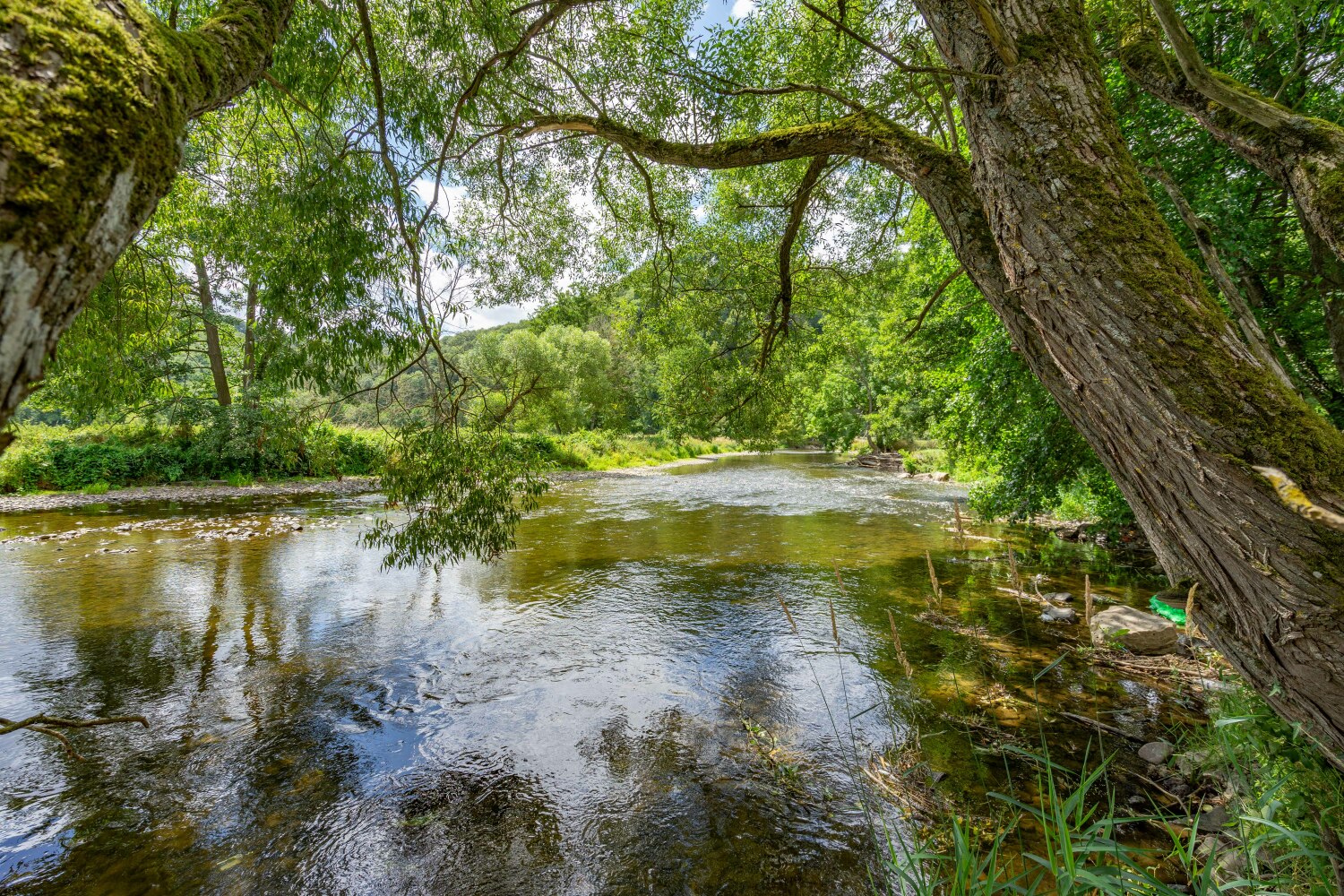 Marcourt web-04982.jpg