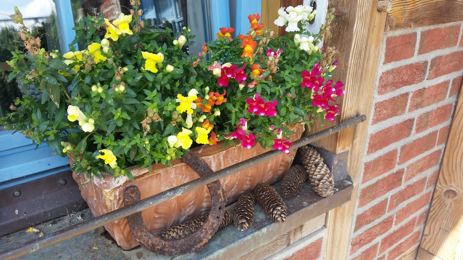 20160726_131021.jpg