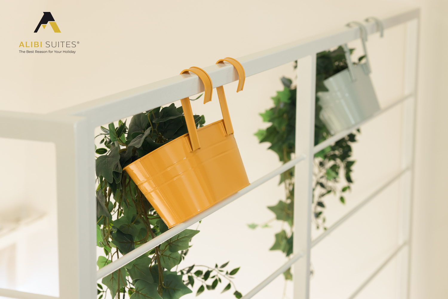 alibi suites-294.jpg