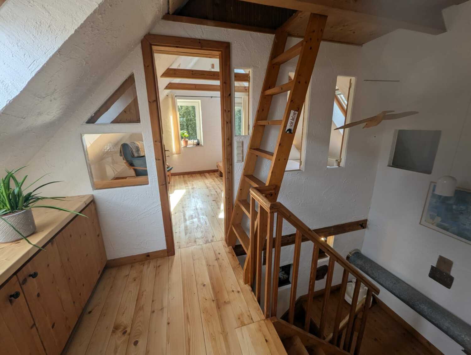 WhatsApp Image 2025-04-15 at 20.39.03.jpeg