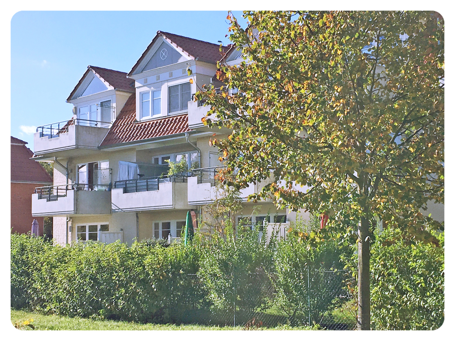 A2 Hausansicht_Rückseite.jpg