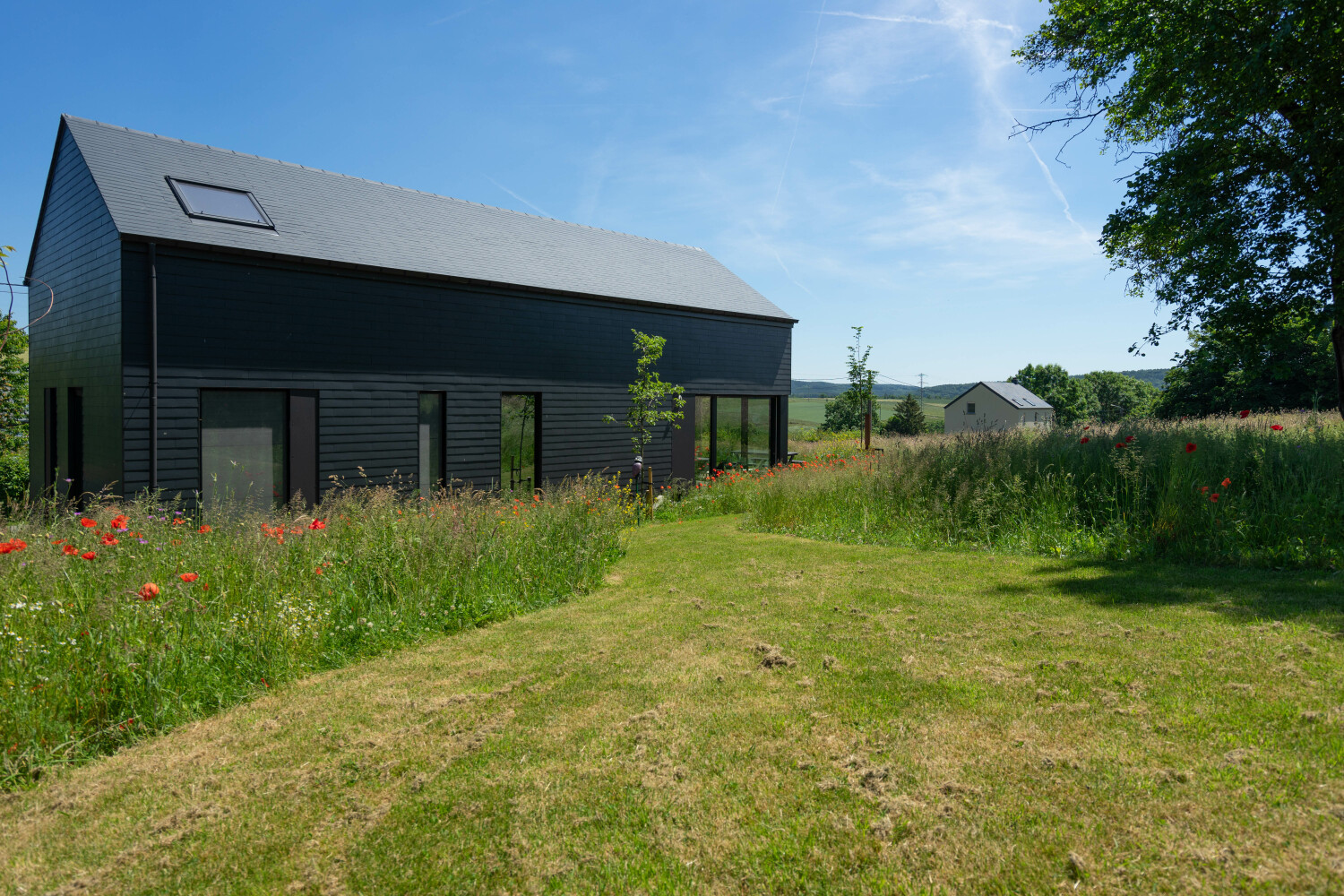 Arduenna Silva Web-08484.jpg