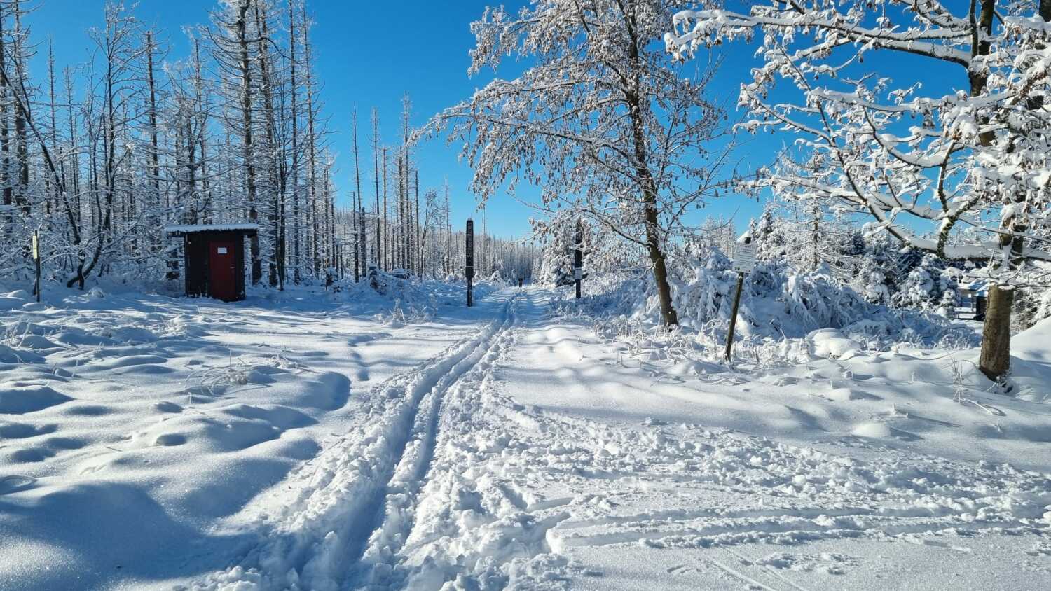 Winter Langlauf.jpeg