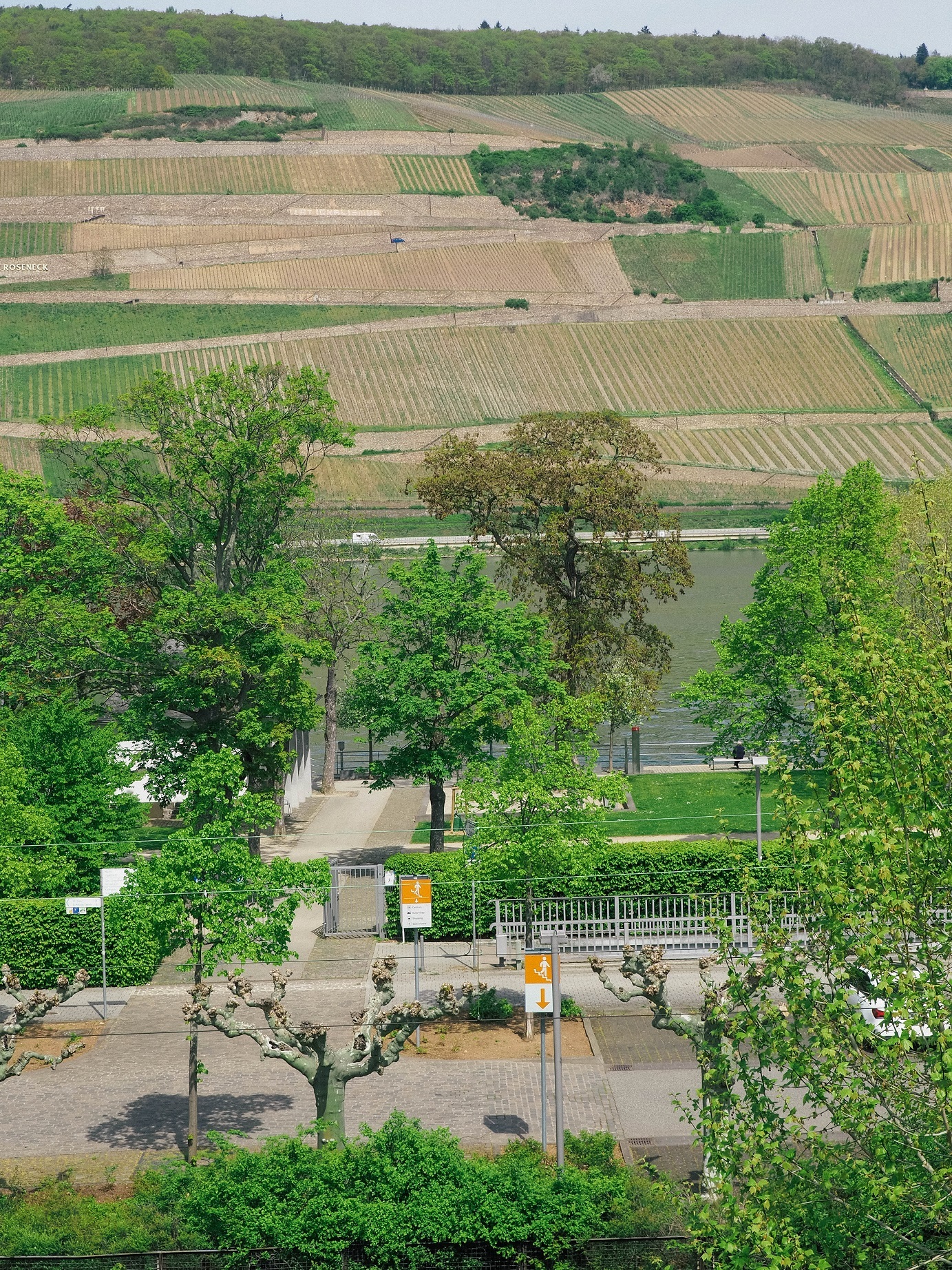 Aussicht Rhein weit 1.jpg