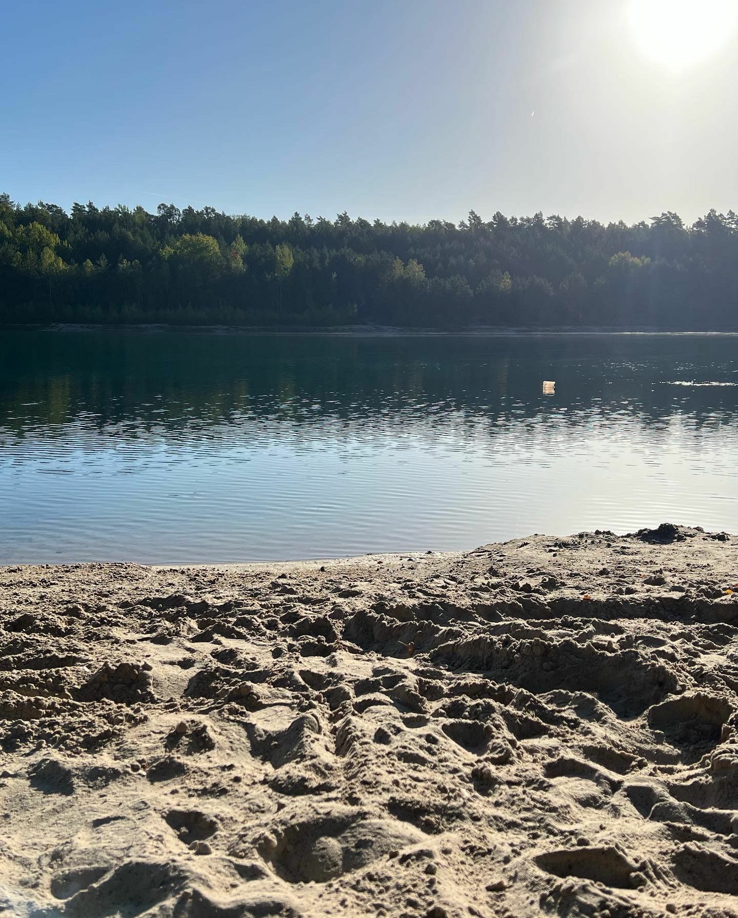 WhatsApp Bild 2024-06-21 um 12.56.10_c88533ae.jpg