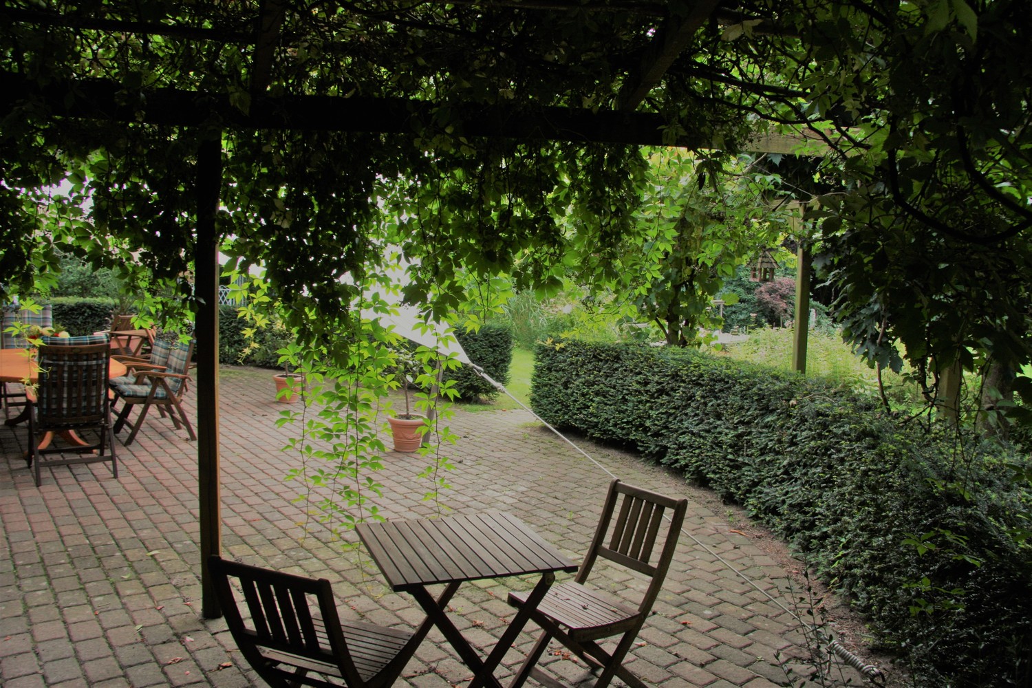 Blick auf die Terrasse Wohnun 1.jpg