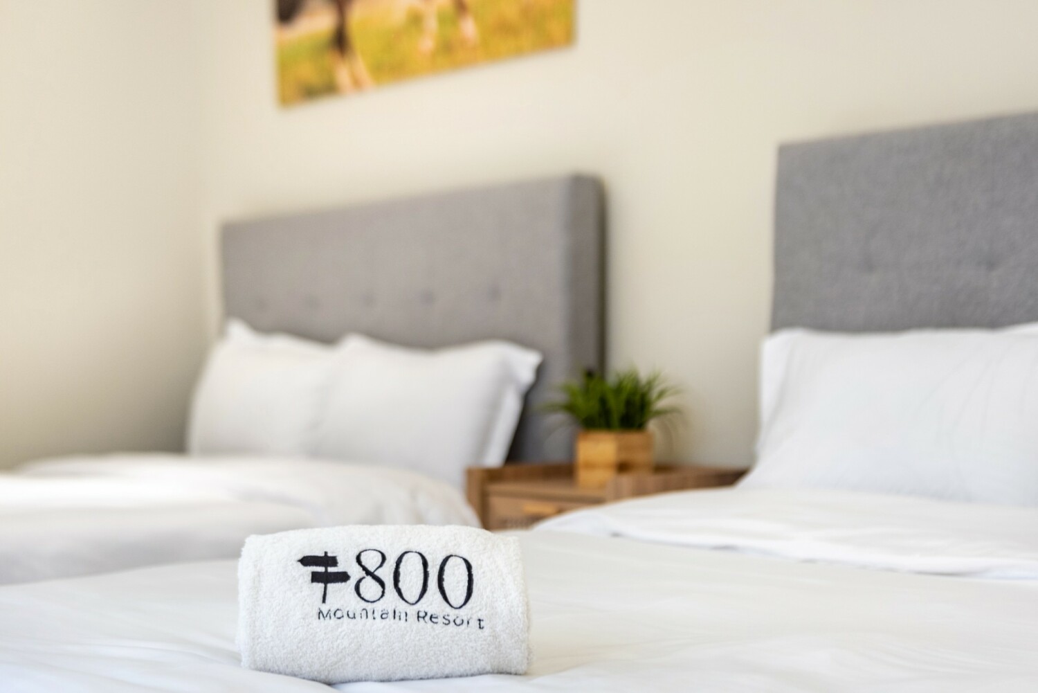 30_LTA_0386 (2K).JPG