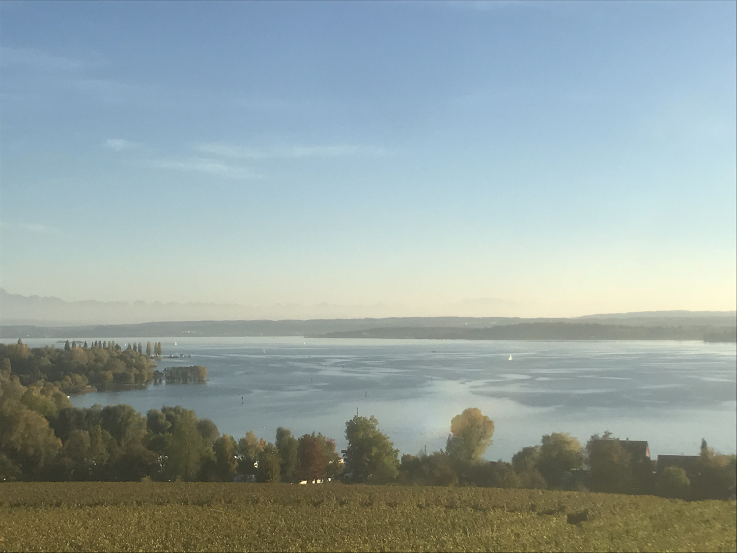 Bodensee-bei-Birnau.jpg